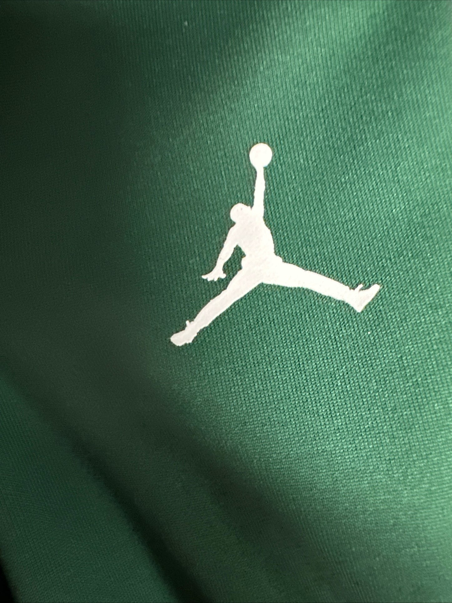 Nike Air Jordan DNA Team Woven Track Pants Southeastern Louisiana University Men's XXL