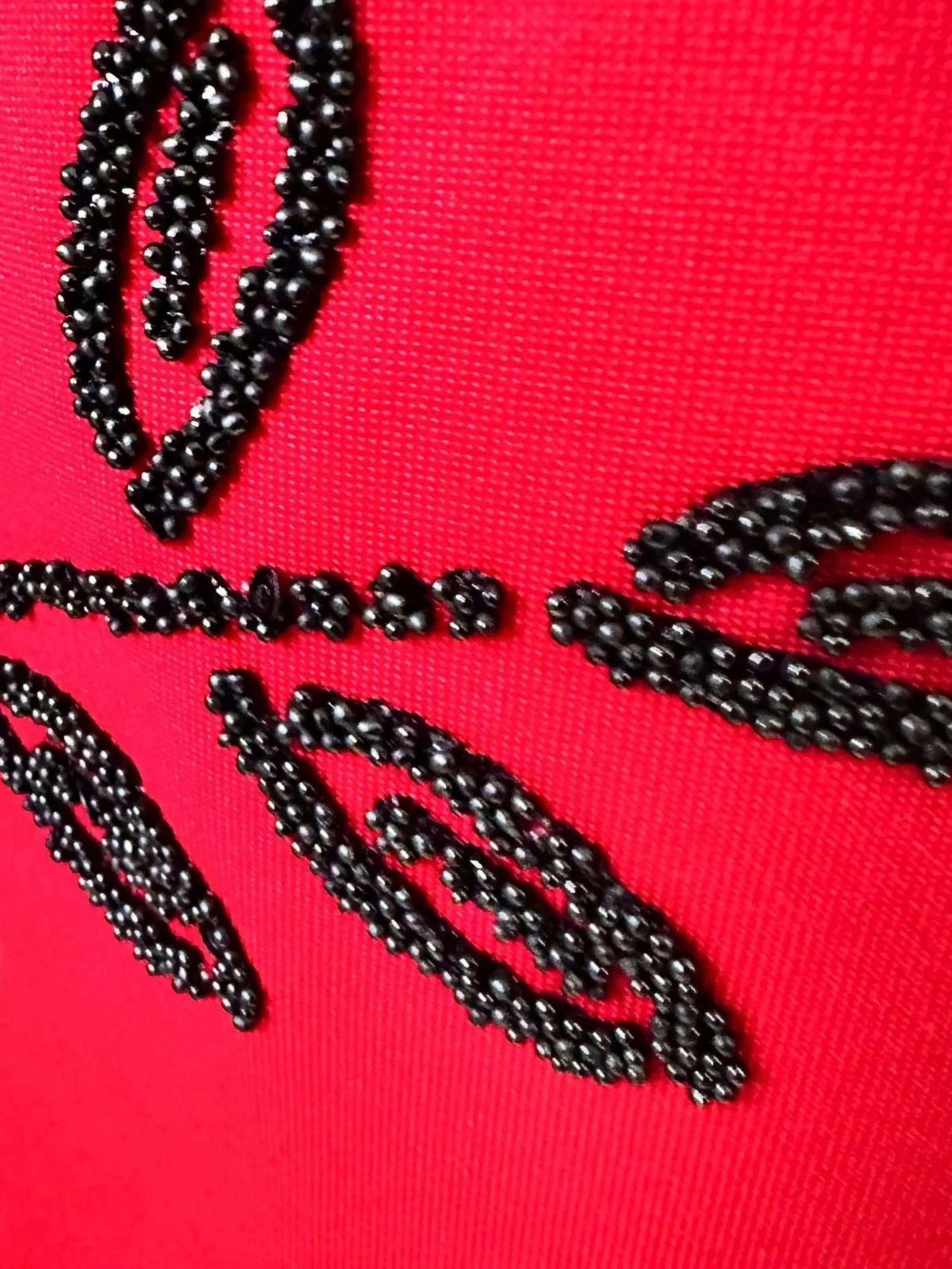 Collection Dressbarn Caviar Floral Beaded Red & Black Sleeveless Shift Dress Women's 2X