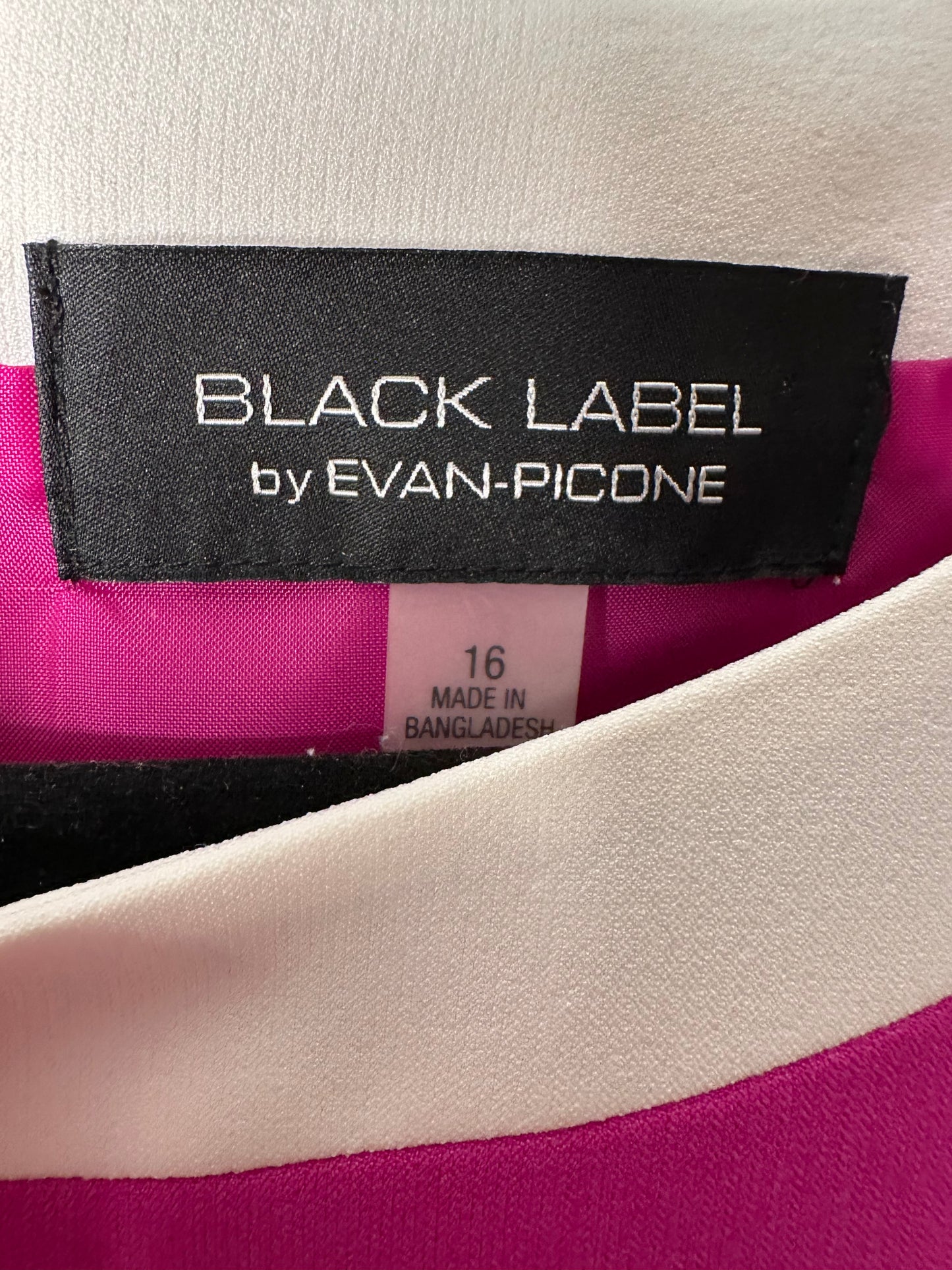 Black Label by Evan Picone Sleeveless Fit & Flare Dress Women's Size 16