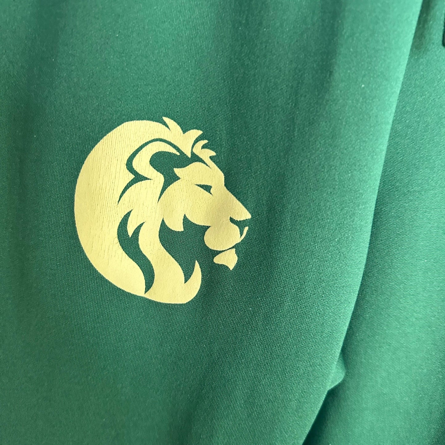 Reserved Till August 27th 5PM CST Nike Air Jordan Southeastern Louisiana University DNA Team Woven Track Pants Green/White CN5344-342 Mens Size XXL